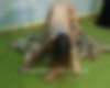77919124_{w2101}_48.jpg